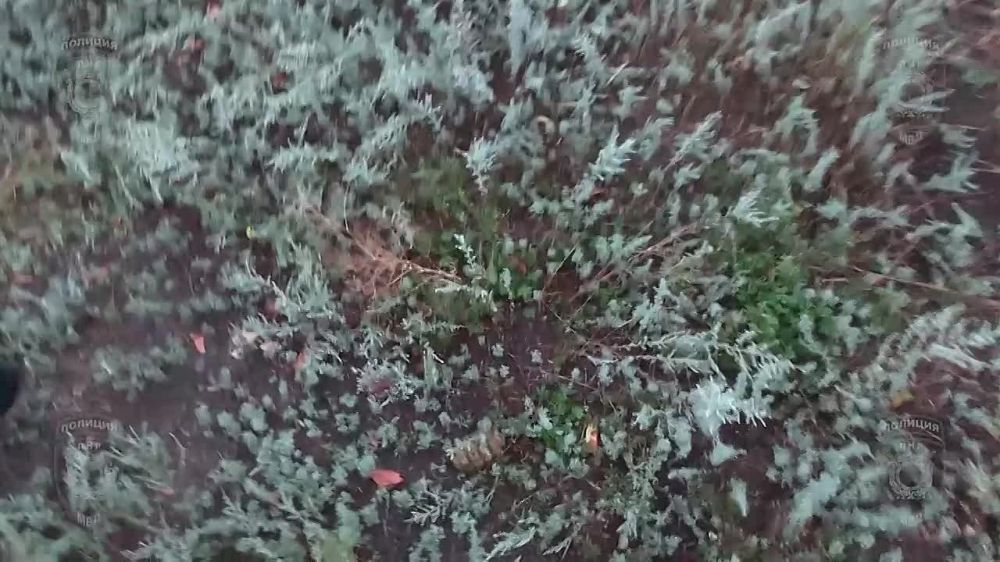 �������� �������� ������ ������� �� ��� ������ �� ������ �����-���������� � ������������� ������� ������ �� ������ ������������� ����������� ����� ������ �� ���������� ��������� �������� ����������