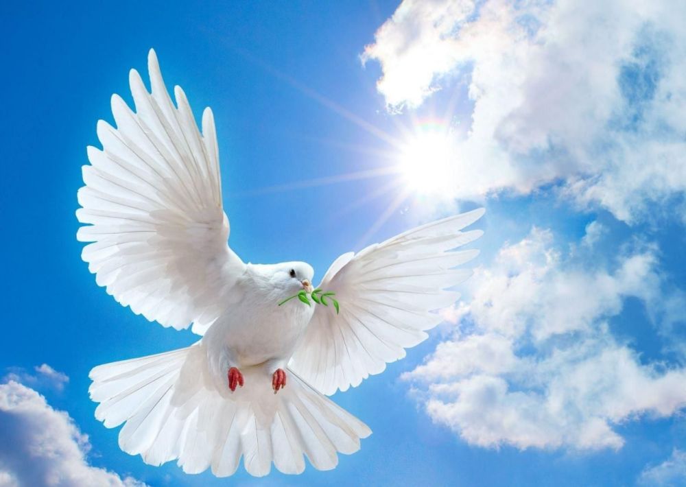 ���� ���� ������� � ��������� ������������������� ����������� 1 ��������