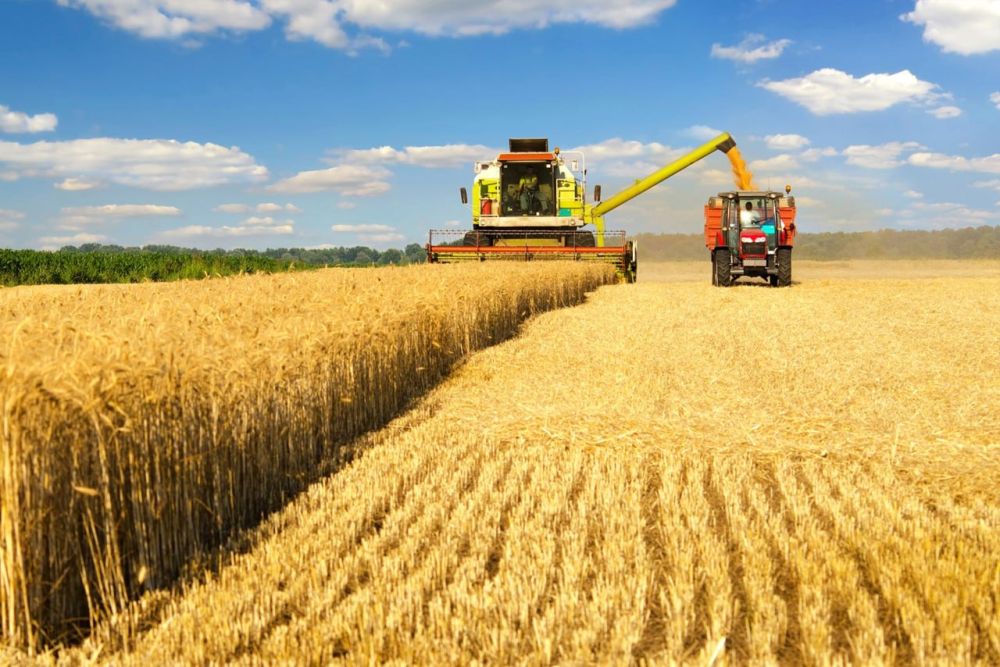 ������������� �������� ���������� � ���������� ������ �������� ������������ ��� ������ ������