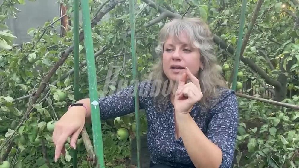 ������� ���� � �� ������ ���������� � ������� ���� ���������� �� ��������, ������ �������� ����� ������ ��������� �������