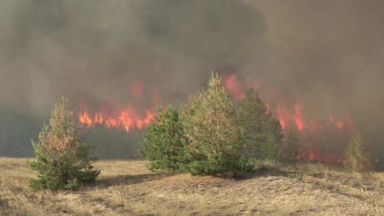 ������� ����� ��������� ������� ������� ������ � ��������-��������� ������ - ���