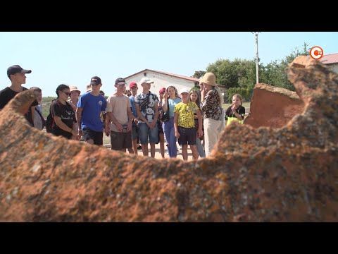 ��������� �� ������������ �������� �����-���������� ��������� �����������