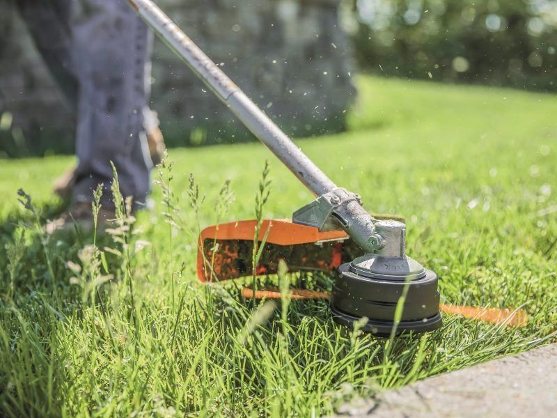 �������� ������������ ��������������� �������� �� ��� ������