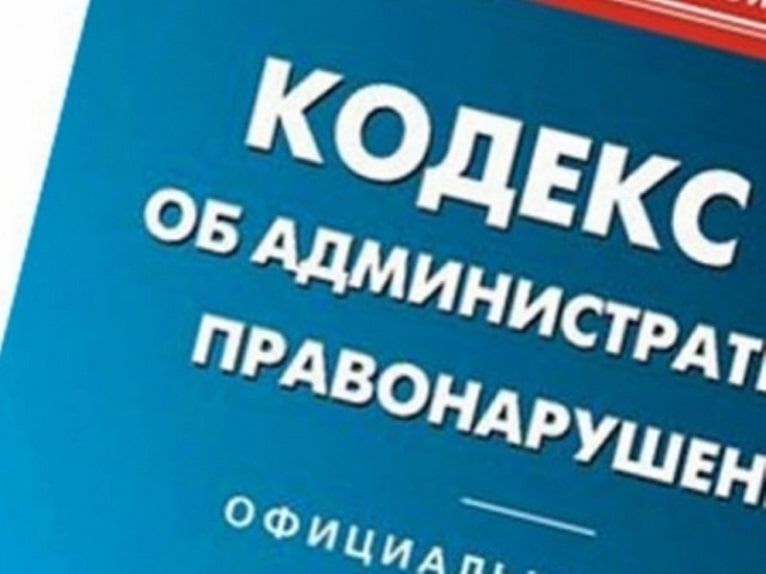 �������� �� ����� ������������������ ����������� 12 ��������