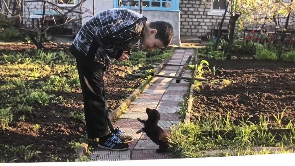 �������� ������������ "����������� �����" ������������ ������������������ ����������� ��������� ��� ������� ����������� "������ �������" ������� ���������� ���������� � ������� �������� ���������� ��������������� �����.