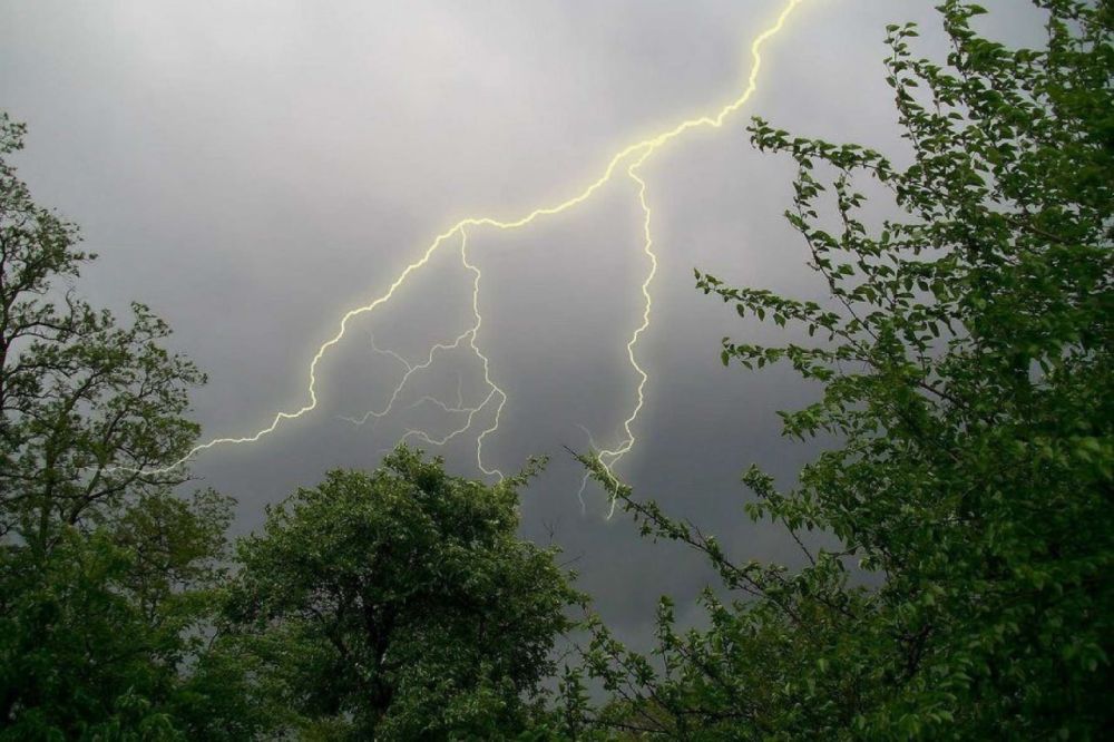 ����� ��������� � �������� ������� ����