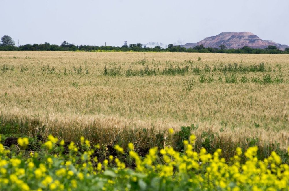 ����� ������� ��� � ������ ���������� ��������� ������ ���� ��������