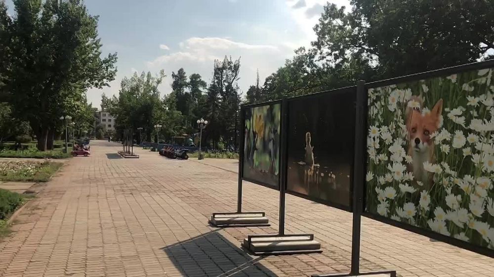 ������������ ��������, ������ � �������� ��� � ����� ������ ���������� ������� � ������ �������� �� ������� �������� "������� � ���� ������", �������� ������� ��������� � ������ ����������� ������� "���� ��������"