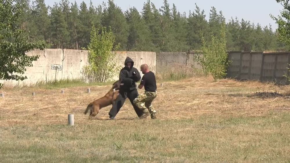 �������� ���������� ���������, ��� � ��� ������������ ������