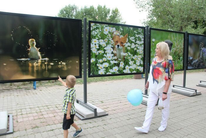 ������� �������� ��������� ������� ���������� ���������� "������� � ���� ������", ������� ��������� � ������ ����� "������� �������" � ��������, ��������� ������ ���� ������� "���� ��������"