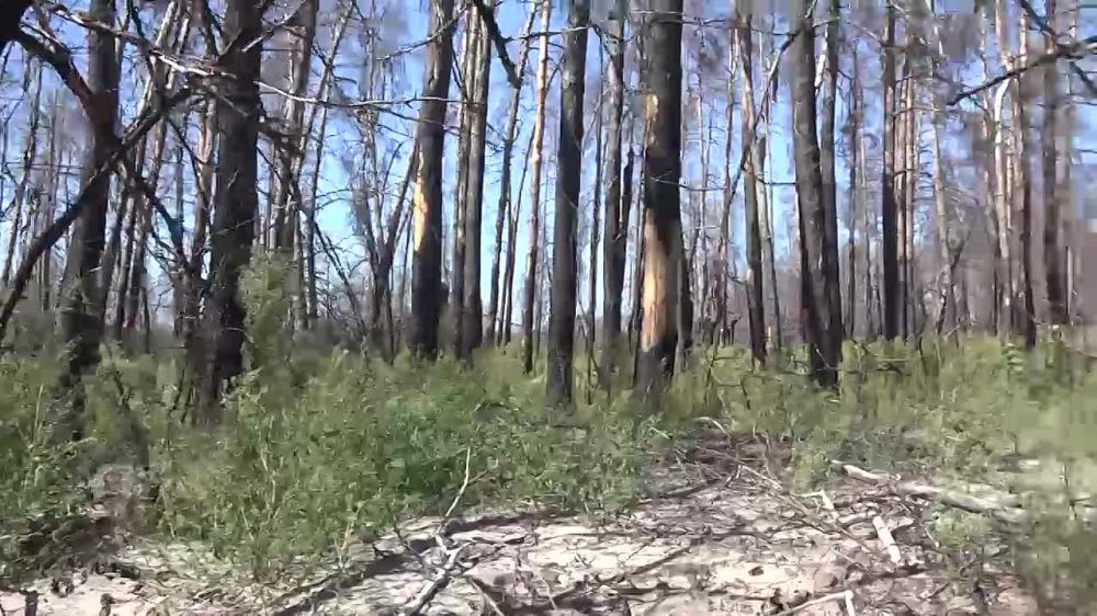 ������������ ������� ���������� ������ � ����������