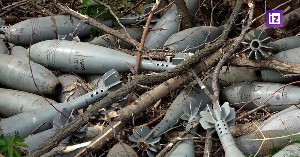 ��� ������������ ����������� ������ ������� ���������� �������������