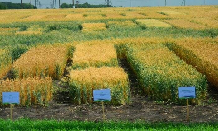 ������������� ��� ��������� ���������� ���������������� ��������� ������������ ������� ������������ ������� � ������������� ����� ���������������� � �������������� ������� � �����-������ ������������� ����������