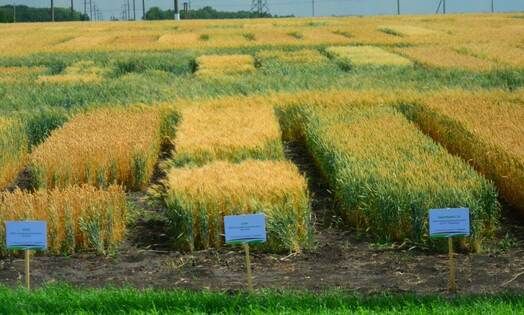 ���� ������� ������������ ������� � ������������� � ��������������� �������