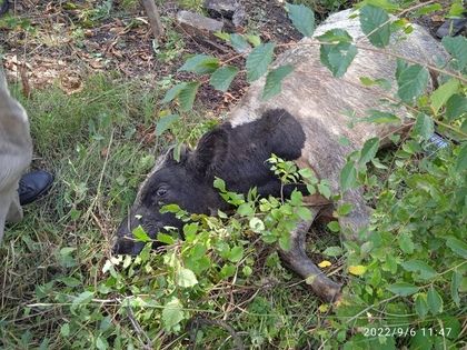 ���������� ��� ������ � �������� �����, �������������� � �������