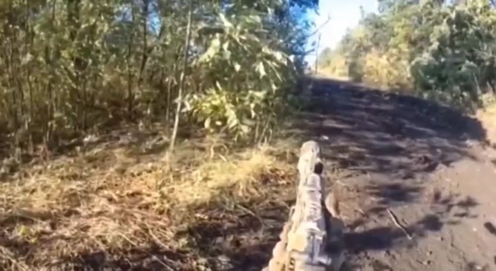 ��������� ���������� (��� �� ���) �� �������� ������� ����������� � ����� ���� ��� ��������� � �������� �������� ����������...