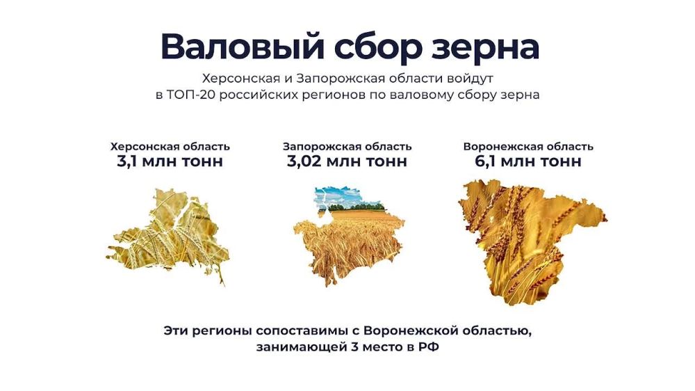 Владимир Рогов: Экономический потенциал Донбасса и освобождённых территорий