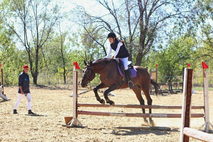 ��������� ������� ������ ������ � �������� � ����� 227-� ��������� �� ��� ��������� ������