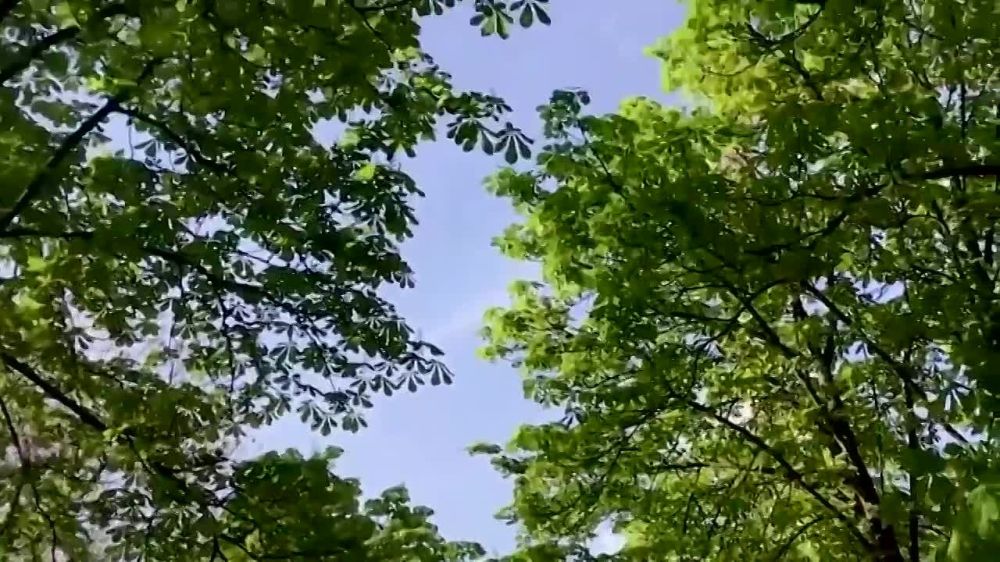 Светлана Гизай: Луганск с днём рождения!