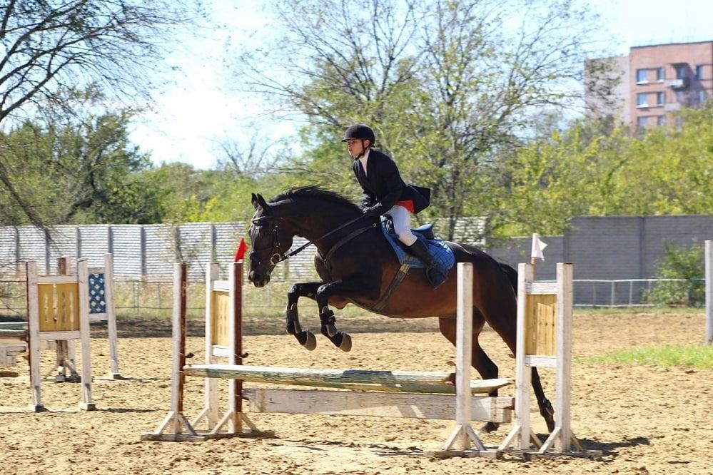 �� ���� ����� ��������� ������� ������ ��� ��������� ��������� �� ������� ������