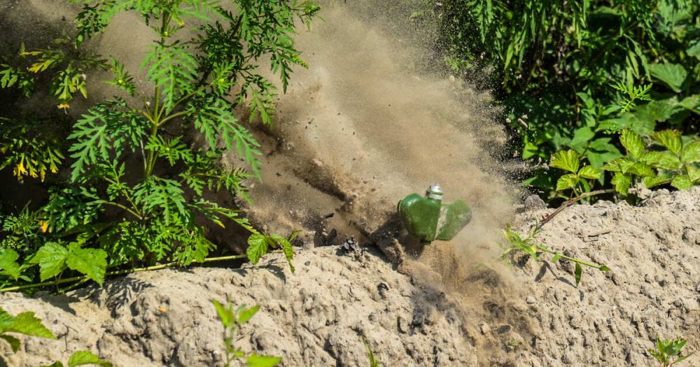 ������� ���������� �� ���� "��������" � ��������� ������ �������