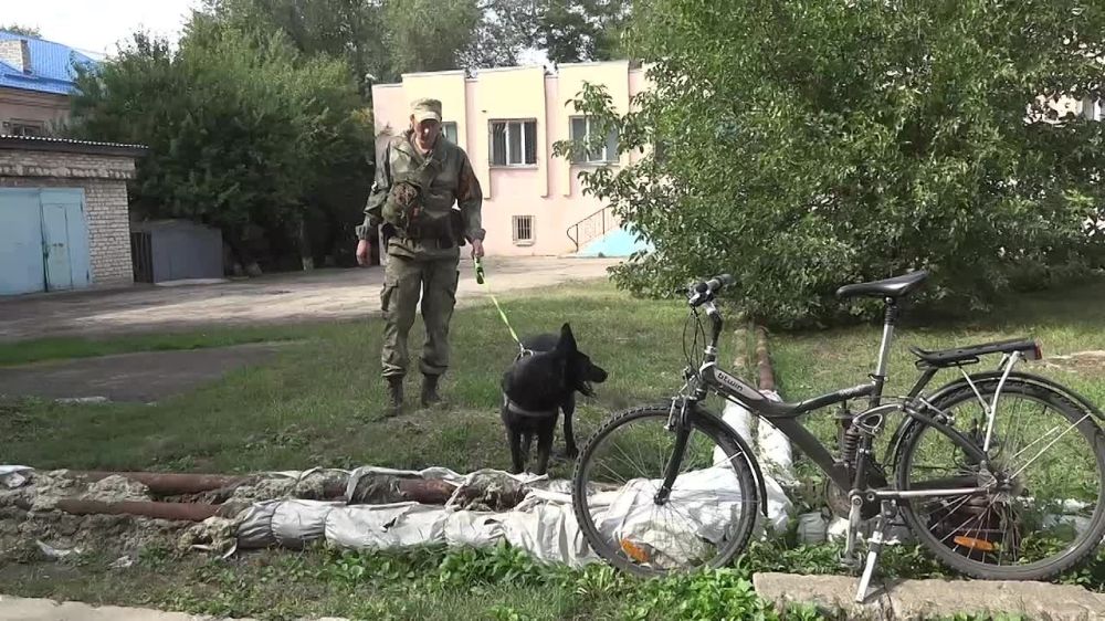 ��������� � ����������� ������������ ��������������� ���, � ����� ���������� ���������������� ������������ ������������ ��. ��������� ���� ��������� �������