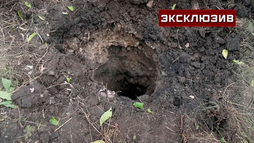 ��������� ���� �������: ����� ��� ���������� ���������� ������������ �������� � ��������� ���