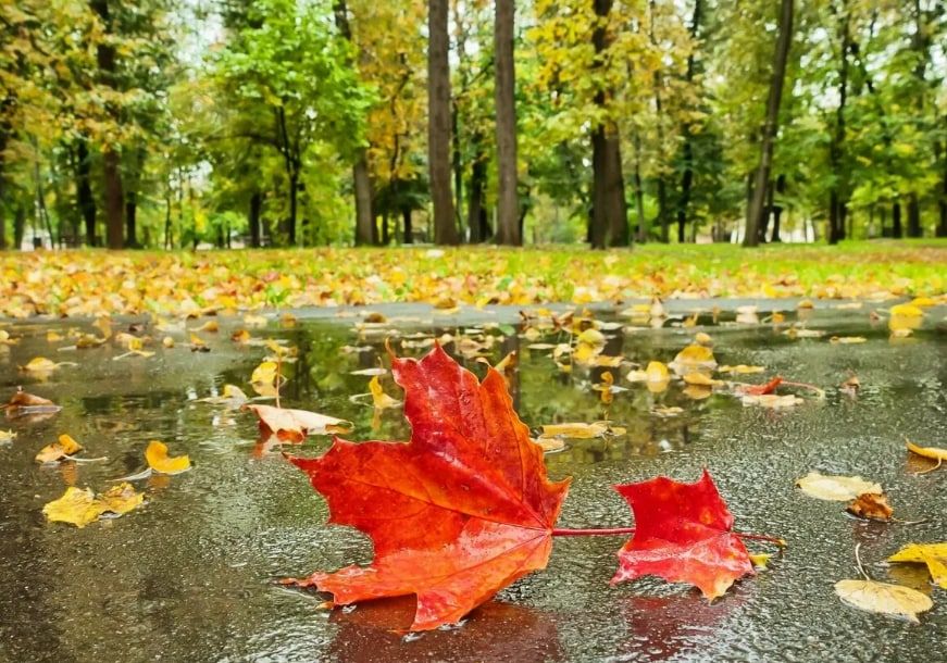 ��������������� ����� � ������ ����� ��������� � �������� ������ �����