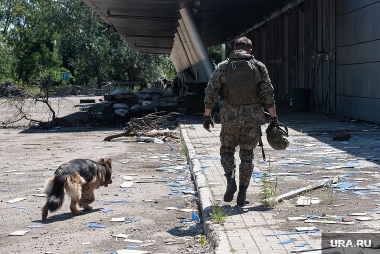 ������ ������� ������������� ������� ������ �������������, �������� � ��� �� �������