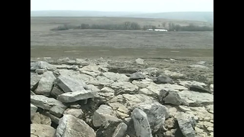 ���������� ����� ��� ���������� ����������? ��������� �� ���� ����������� �������-��������������� �������, ������� ���������� � ������������ ������, �������� � ����� ��������� ���� ������ �� ���������� �������� 24�