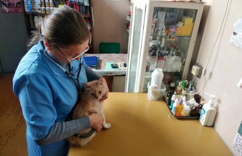 ������ �����. ��������� �������� ���������: "��������� �������� ������� ������ �� ������"