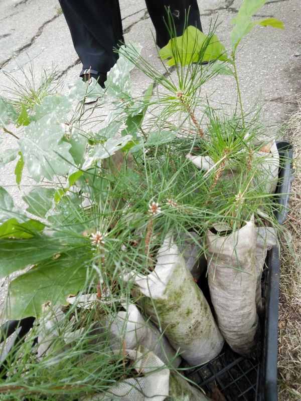 � �������� ��������� �������� 30 ��������