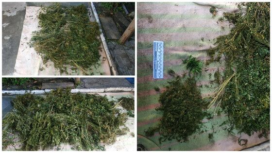 ���������� ��� ������ � ������ ������� ��������� ������������� �������