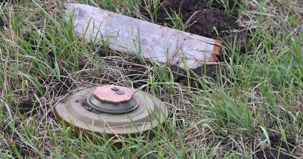 ��� ���������� ���������� ����������� �� ���� � �������