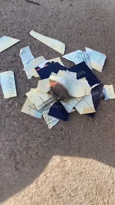 � ��� ��� �������� � ��������� �������� ���������� � ����� ��������� � ��������� �������