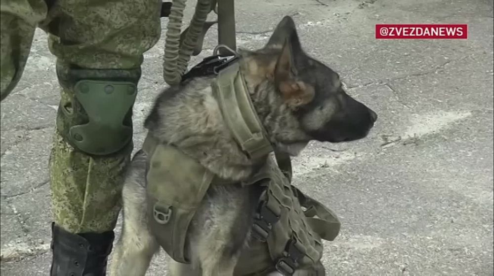 ������ ������ ����������� ������� ��� ����������� �� ����������� � ���