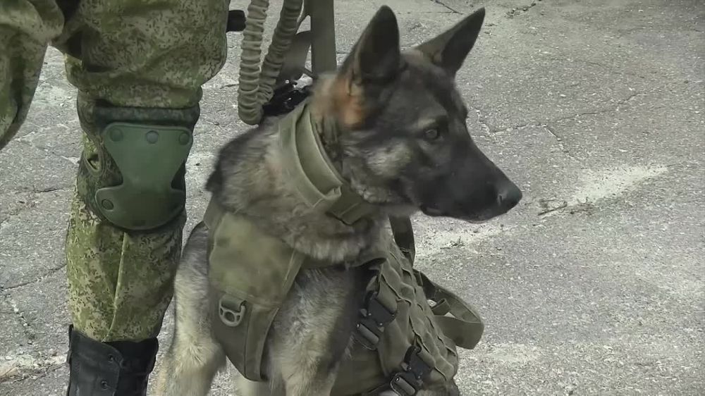 � ��������� �������� ���������� ����������� �������������� �������������� ������ ���������� � ������������ �� ������� ������������� ��������� ������������� ��������, ��������������� ��� ���������� ����������� � ������������� ������� � ���������� ���������