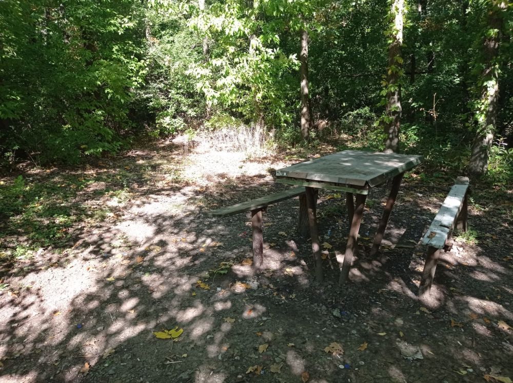 ������� ������ ������� � ��������� ����������