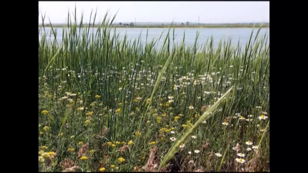 �� ������� ������ ������� ���������, ������� ���������� �� ��������� �����, �������� � ����� ������� ����� ��������� ���� ������ �� ���������� �������� 24�