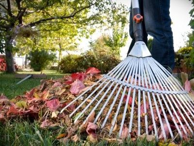 �������� ��������� � ������ ������ �� ���������� ������