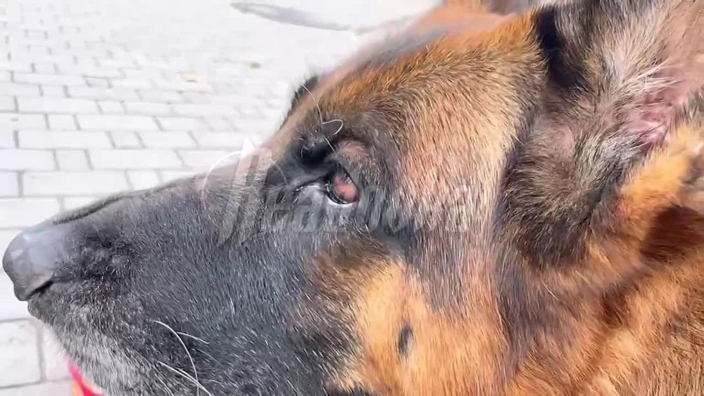 ����� ����� �������. ������ ������� ����� �� ������: ������� ���� �� �������� � 2014 ���� ������� ��������� ��������� � ������ ������� � � ��� ����� �������� ����� ���� � ������