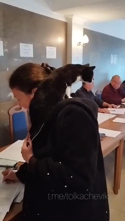 � ��� �������� ���� ������