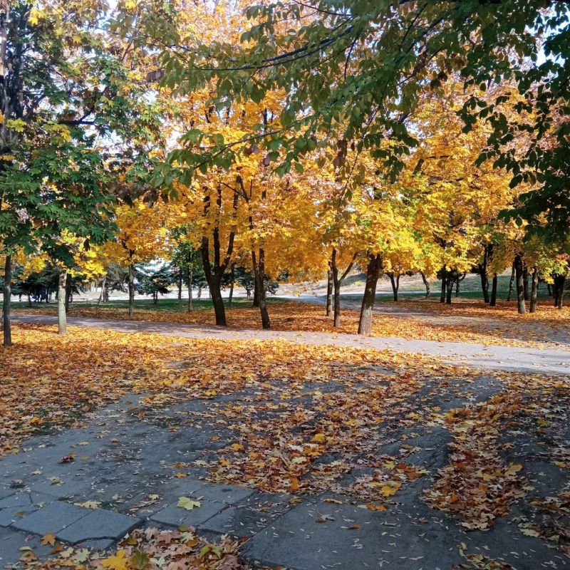 ����������� �� +22� ��������� ������ � ��������