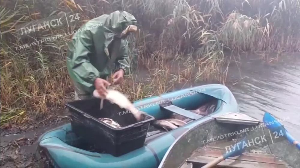 �� ����� �������� ���� ��������� ����� �����������