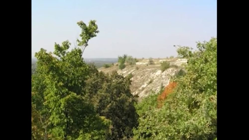 �� ������� ������ �������, ������� ���������� �� ��������� �����, �������� � ����� ������� ����� ��������� ���� ������ �� ���������� �������� 24�