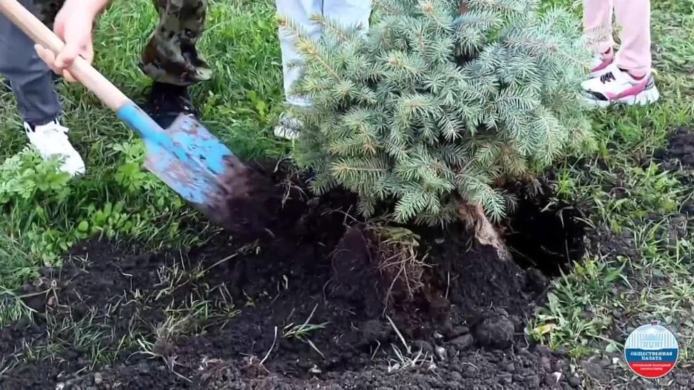 ��������� � ������������� �� ��� ������� ��������� ���������� ���������� ����� "��������"