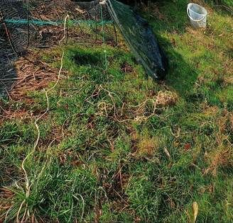 ���������� ���������� ��������� �������� �� ����������, ��������� ����� �� �����������