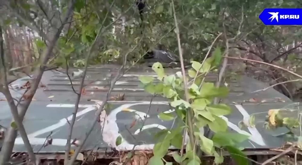 ������� � @epodduny � �������