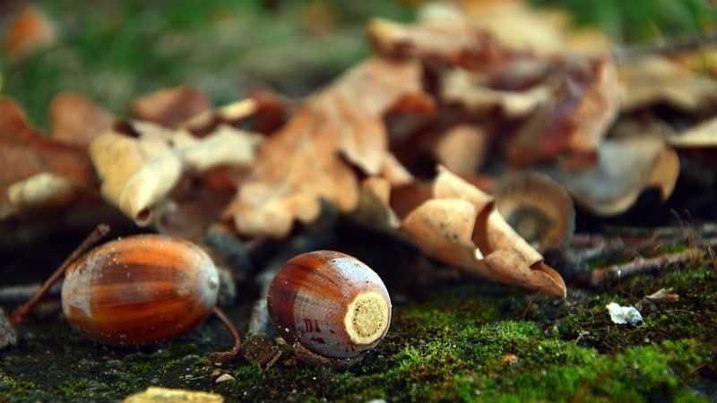 ���������� ��� ���������� ���� ������������� ������� ������� ������� � ����� �� ����� ������ � ����� ��������� � ������������� ������ ����� � ������ ���� ����� � ���������� ������� ��������� ��������� �������� ����������