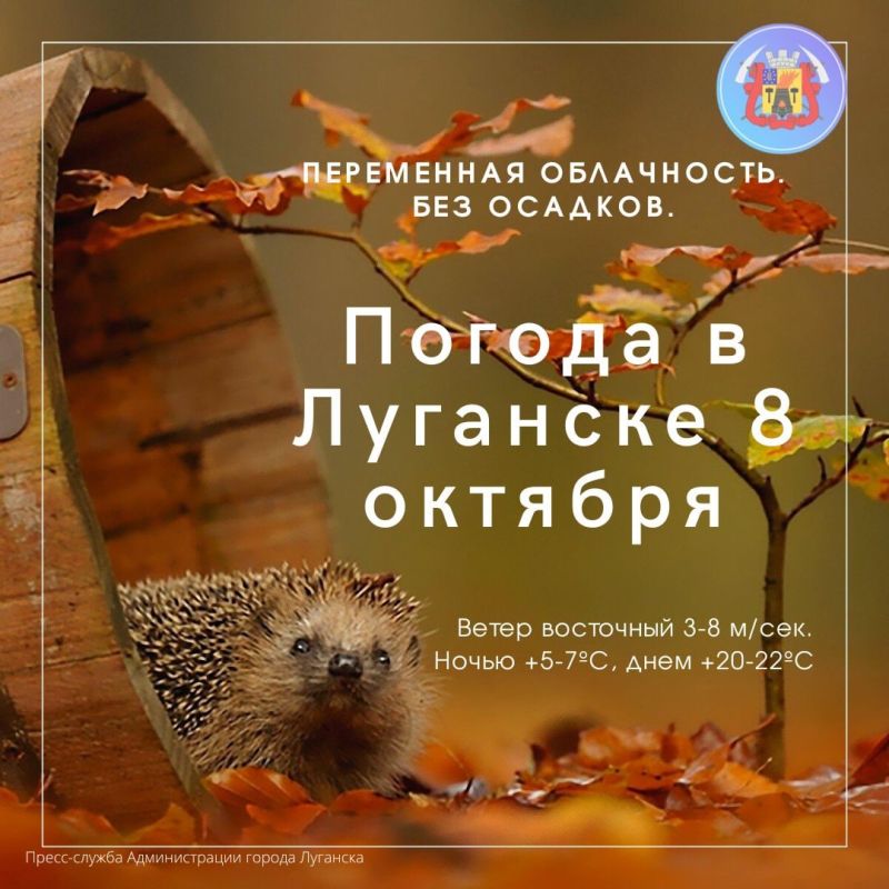 #������� #�������_�������� #������